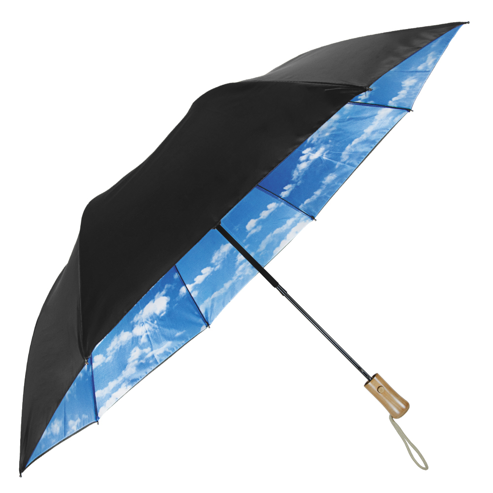 The Blue Sky & Clouds Folding Umbrella