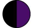 Purple Bag Purple Bag