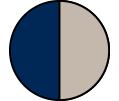 Tan Navy Blue Bag Tan Navy Blue Bag